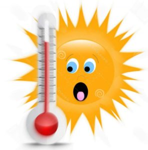 se protéger de la canicule